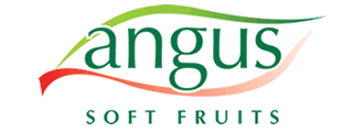 Client Name